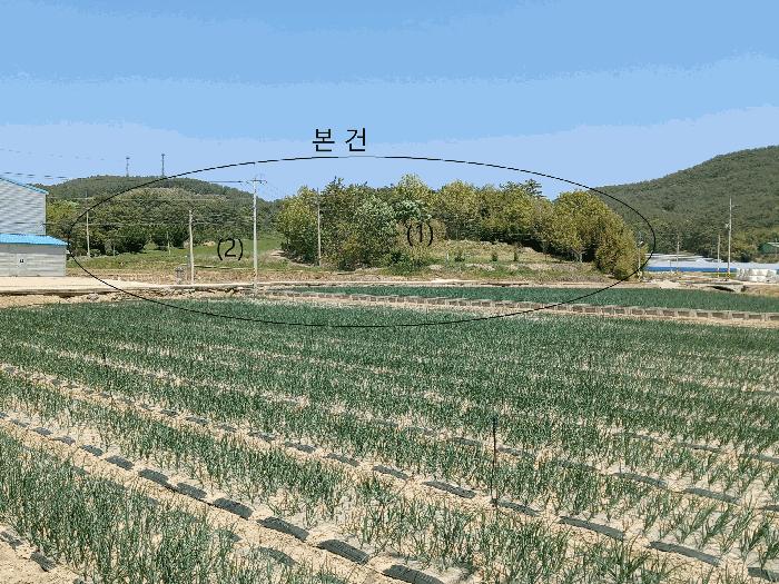 2025타경51038 법원경매 사진6 | 전남 함평군 임야 경매