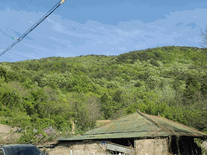 경상남도 거제시 연초면 오비리 산73 법원경매 물건 대표사진