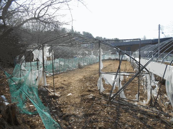 경기도 포천시 소흘읍 무봉리 516 법원경매 물건 대표사진