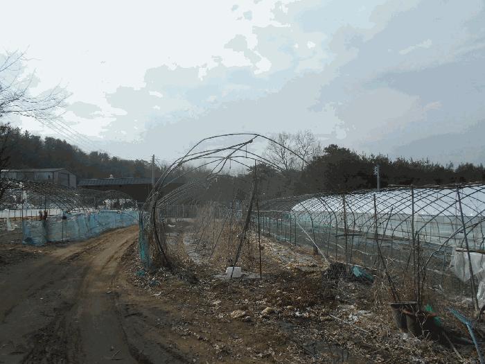 법원경매 2025타경71763 사진5 | 포천시 소흘읍 무봉리 516 전 경매