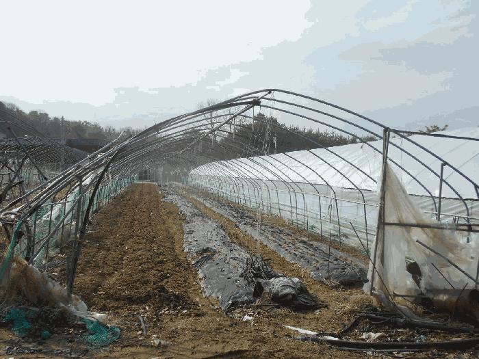 법원경매 2025타경71763 사진6 | 포천시 소흘읍 무봉리 516 전 경매