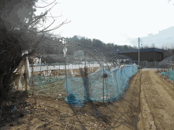 법원경매 2025타경71763 사진7 | 포천시 소흘읍 무봉리 516 전 경매