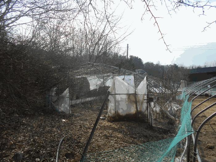 법원경매 2025타경71763 사진9 | 포천시 소흘읍 무봉리 516 전 경매