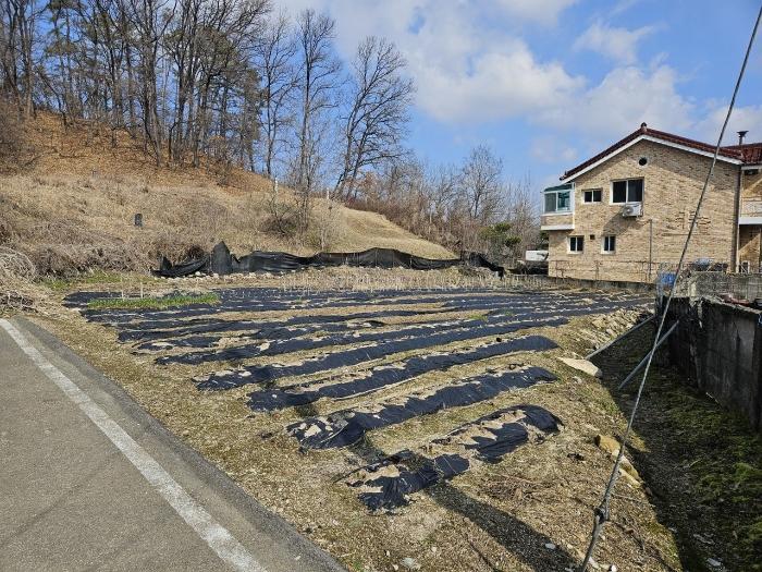 충청북도 증평군 도안면 화성리 217 법원경매 물건 대표사진