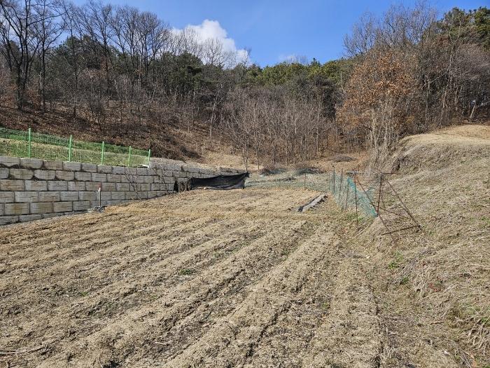 법원경매 2024타경51536 사진2 | 증평군 도안면 화성리 217 대지 경매