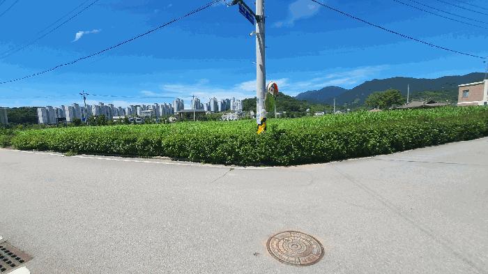 전라남도 담양군 담양읍 가산리 398-1 법원경매 물건 대표사진