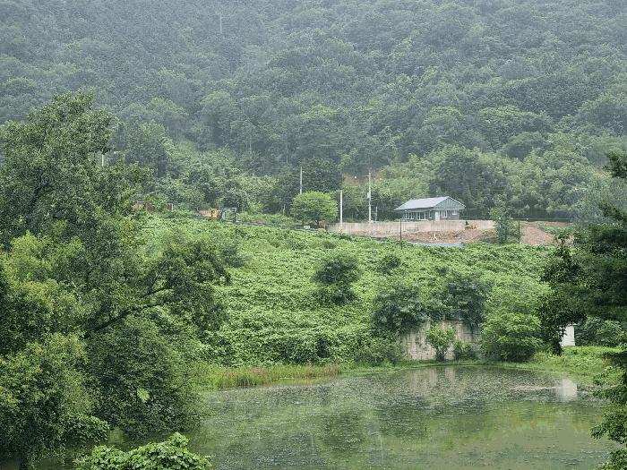 2025타경33467 법원경매 사진3 | 전남 담양군 대지 경매