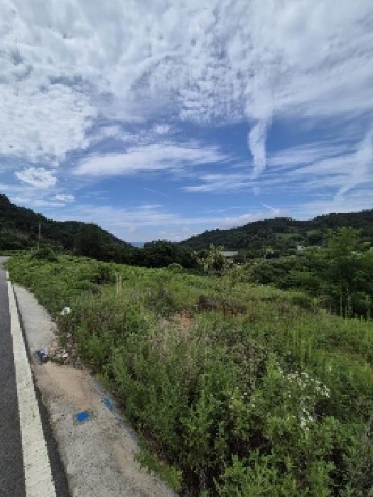 2025타경33467 법원경매 사진7 | 전남 담양군 대지 경매