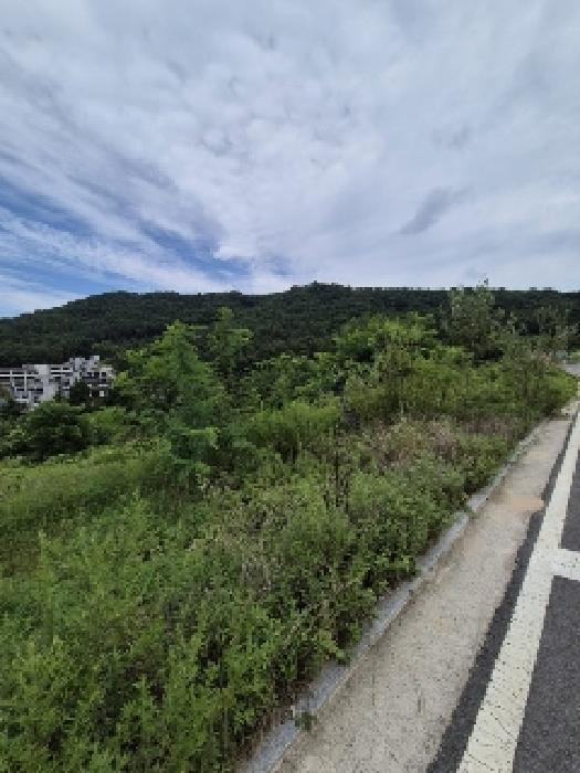 2025타경33467 법원경매 사진8 | 전남 담양군 대지 경매