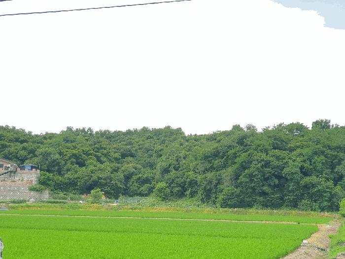 충청북도 진천군 진천읍 신정리 516-2 법원경매 물건 대표사진