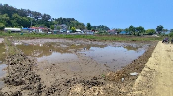 2025타경15717 법원경매 사진5 | 충남 보령시 근린시설 경매
