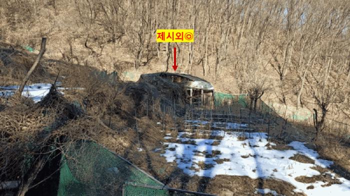 2025타경11205 법원경매 사진2 | 천안 동남구 임야 경매