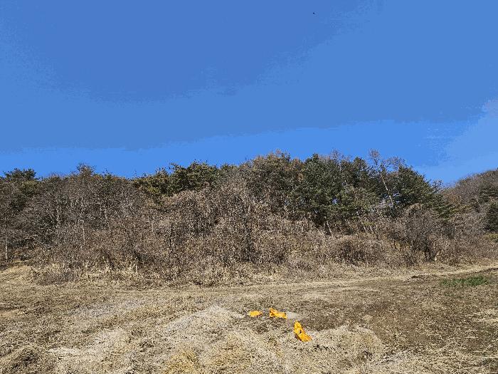 법원경매 2025타경10379 사진2 | 경주시 하동 산196 임야 경매