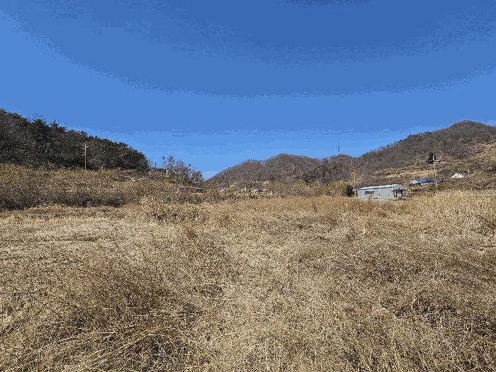법원경매 2025타경10379 사진3 | 경주시 하동 산196 임야 경매