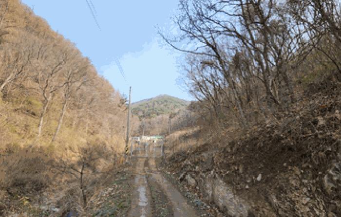 법원경매 2025타경10419 사진2 | 경주시 산내면 감산리 임야 경매