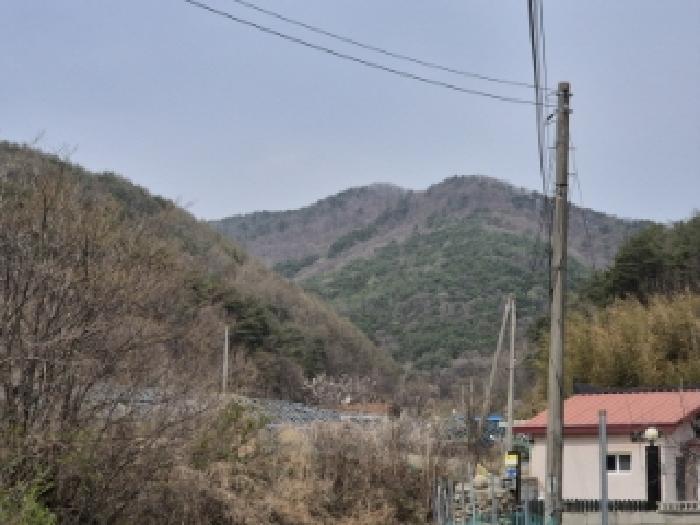 법원경매 2025타경10419 사진3 | 경주시 산내면 감산리 임야 경매