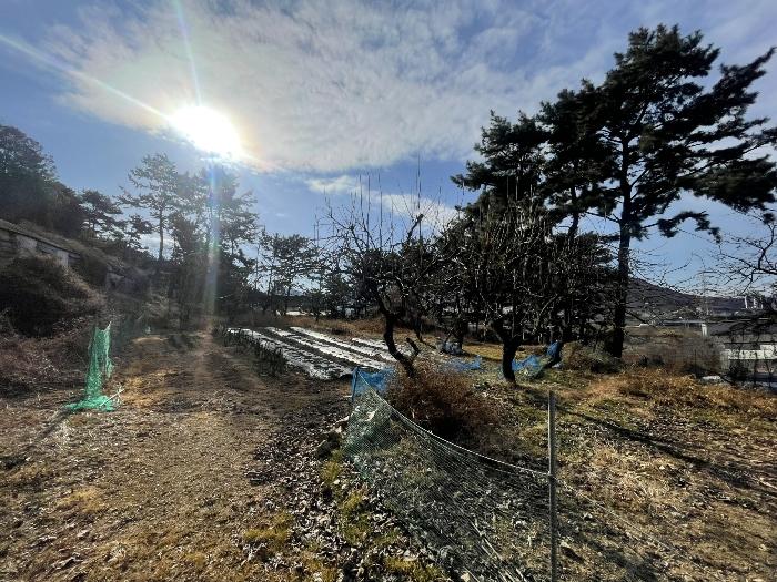 2024타경116818 법원경매 사진4 | 경남 김해시 답 경매