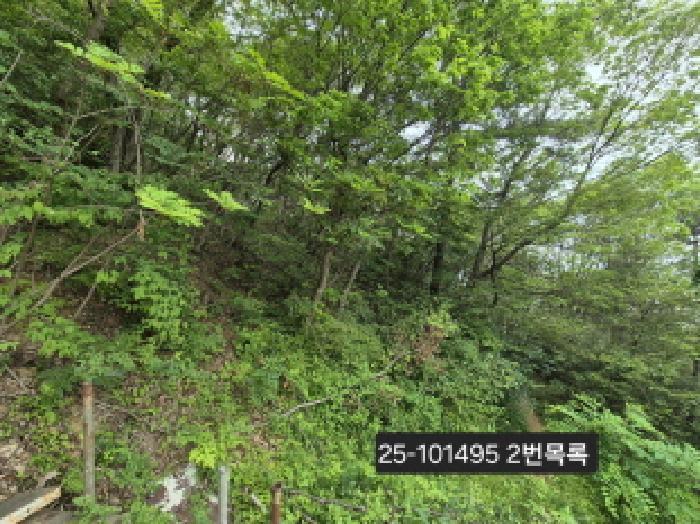 법원경매 2025타경101495 사진3 | 부산 강서구 성북동 1413-2 전 경매