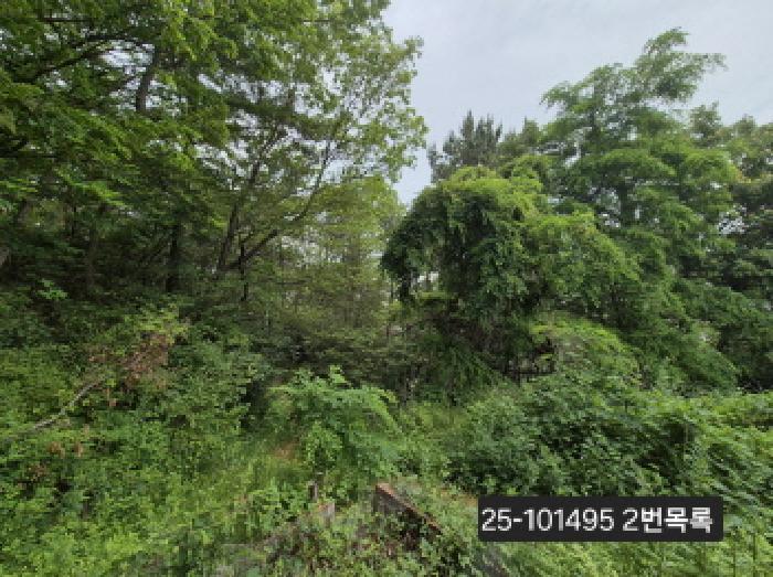 법원경매 2025타경101495 사진4 | 부산 강서구 성북동 1413-2 전 경매