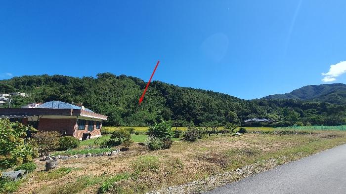 법원경매 2024타경5337 사진4 | 양평군 강하면 성덕리 임야 경매