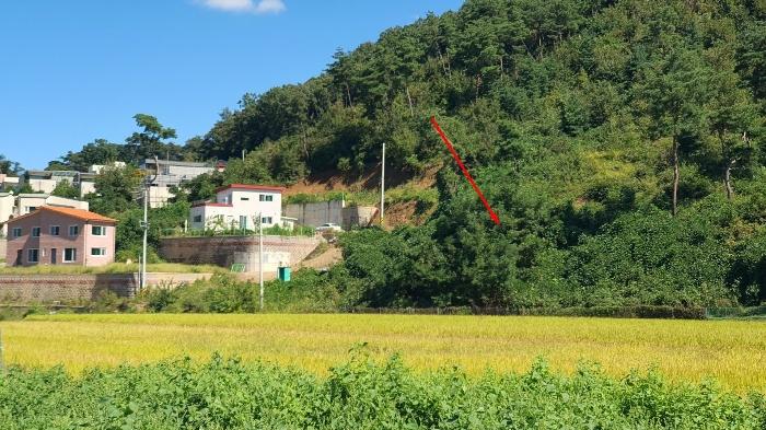 법원경매 2024타경5337 사진6 | 양평군 강하면 성덕리 임야 경매