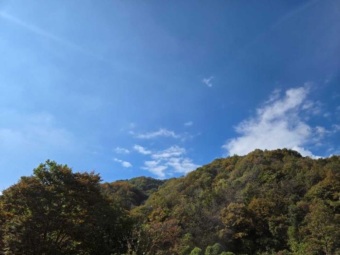 법원경매 2024타경39712 사진8 | 양평군 양서면 증동리 26 임야 경매