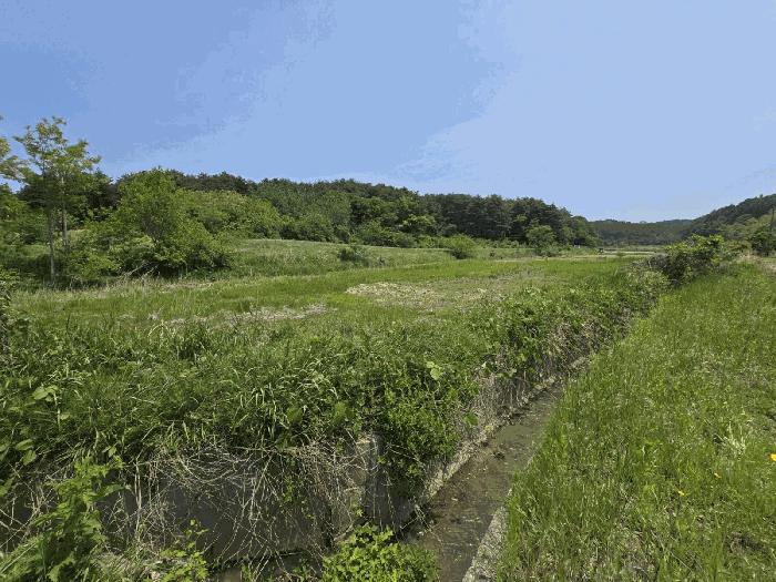 법원경매 2025타경241 사진2 | 고성군 현내면 죽정리 253 답 경매