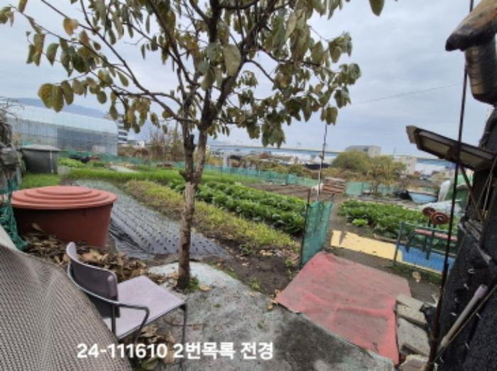 법원경매 2024타경111610 사진12 | 부산 강서구 대저1동 806-6 답 경매