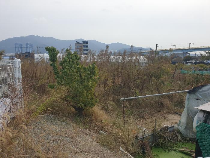법원경매 2024타경111610 사진4 | 부산 강서구 대저1동 806-6 답 경매