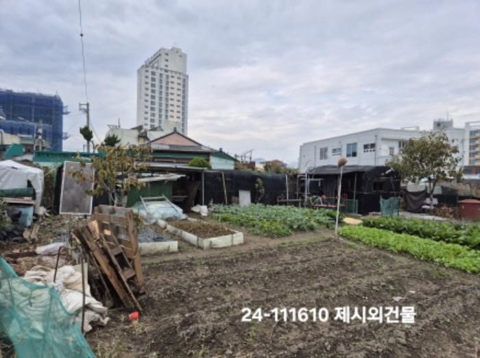 법원경매 2024타경111610 사진5 | 부산 강서구 대저1동 806-6 답 경매