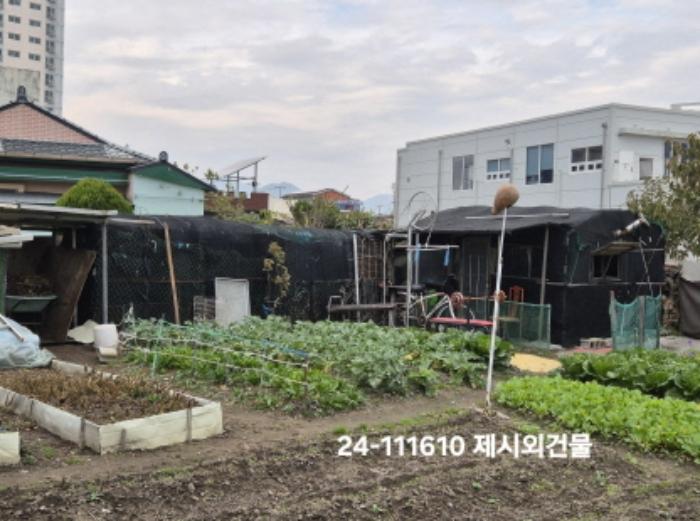 법원경매 2024타경111610 사진6 | 부산 강서구 대저1동 806-6 답 경매