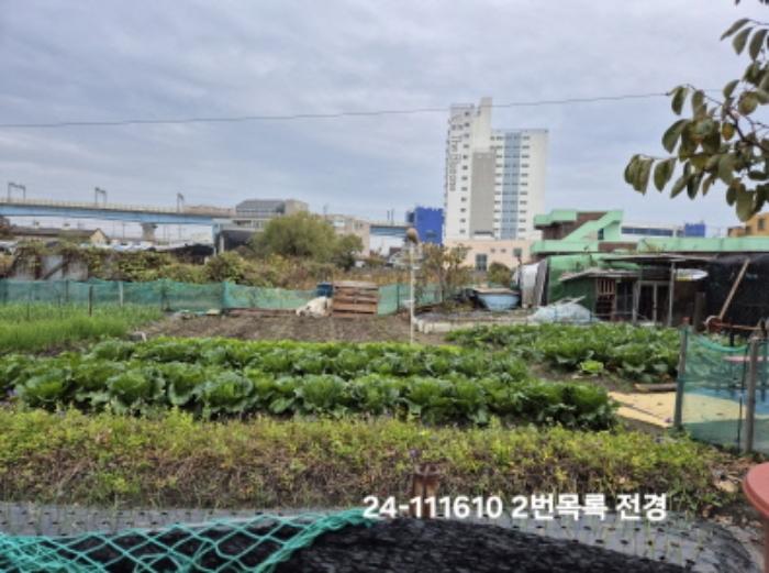 법원경매 2024타경111610 사진7 | 부산 강서구 대저1동 806-6 답 경매