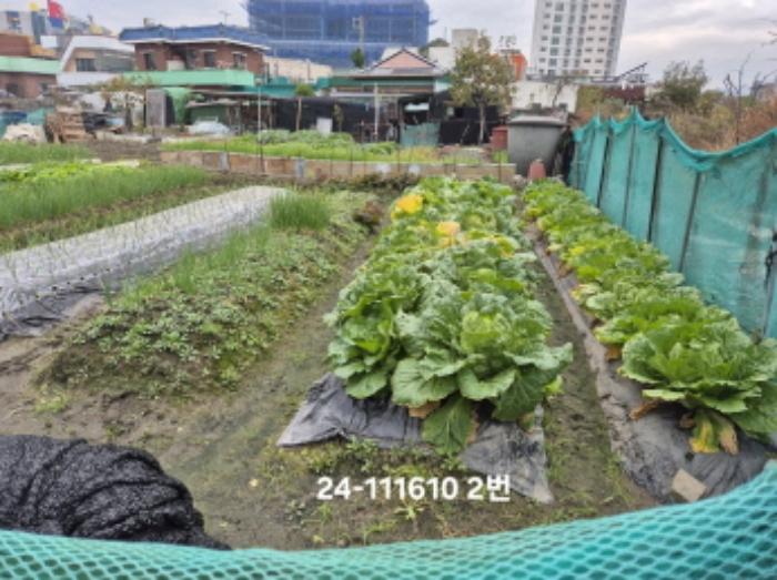 법원경매 2024타경111610 사진8 | 부산 강서구 대저1동 806-6 답 경매