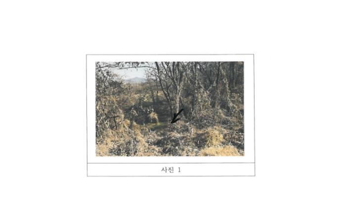 법원경매 2024타경18443 사진3 | 김천시 아포읍 제석리 59-14 과수원 경매