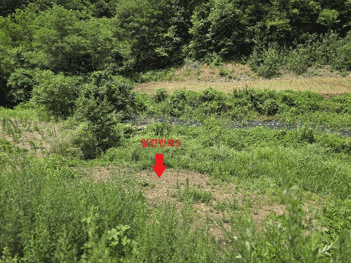 충청남도 금산군 남이면 성곡리 268 법원경매 물건 대표사진