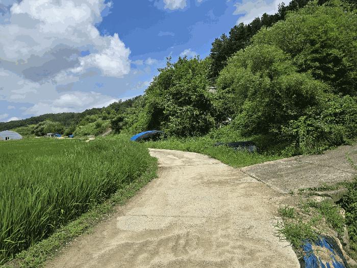 2025타경502953 법원경매 사진7 | 충남 금산군 답 경매