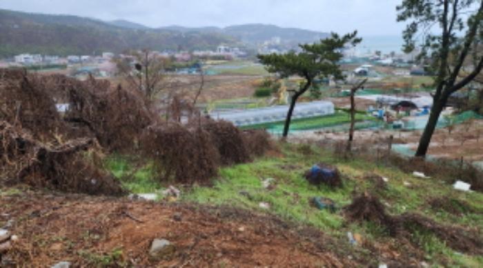 법원경매 2024타경103894 사진40 | 울산 북구 어물동 240-1 전 경매