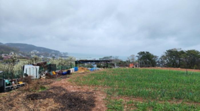 법원경매 2024타경103894 사진52 | 울산 북구 어물동 240-1 전 경매
