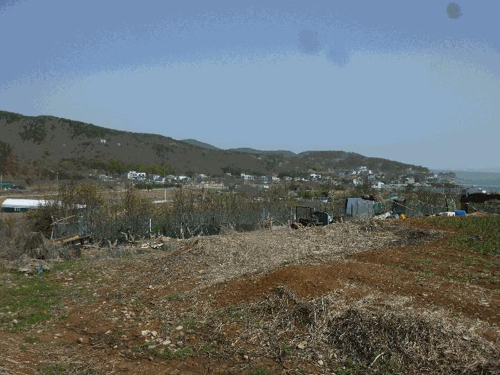 법원경매 2024타경103894 사진7 | 울산 북구 어물동 240-1 전 경매