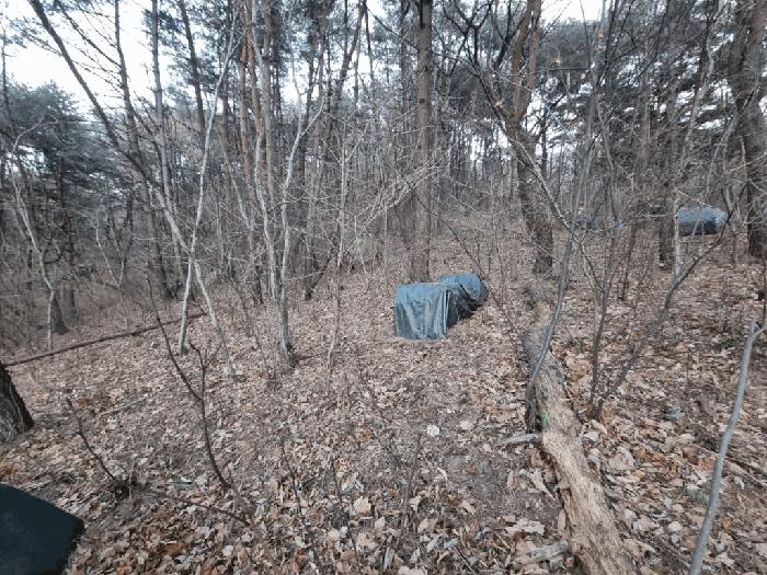 2025타경305 법원경매 사진2 | 울산 북구 임야 경매