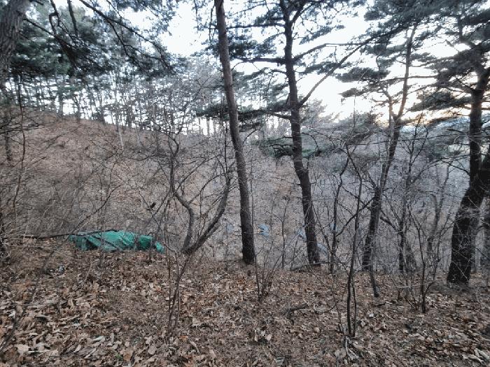 2025타경305 법원경매 사진6 | 울산 북구 임야 경매