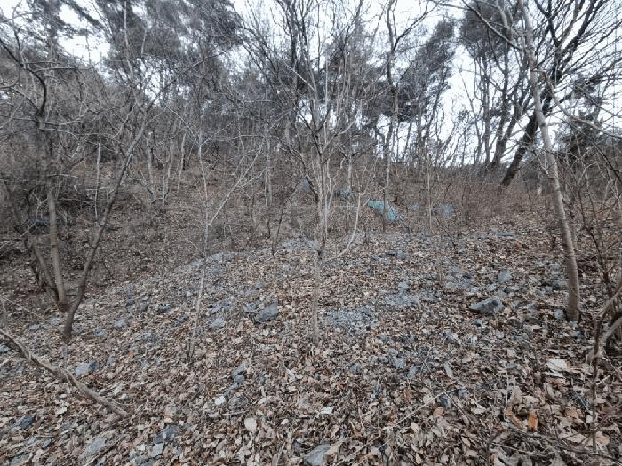2025타경305 법원경매 사진7 | 울산 북구 임야 경매