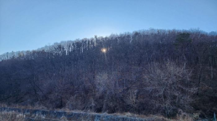 울산광역시 울주군 두동면 봉계리 산156-9 법원경매 물건 대표사진