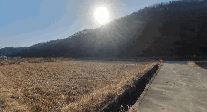 2025타경732 법원경매 사진2 | 울산 울주군 임야 경매