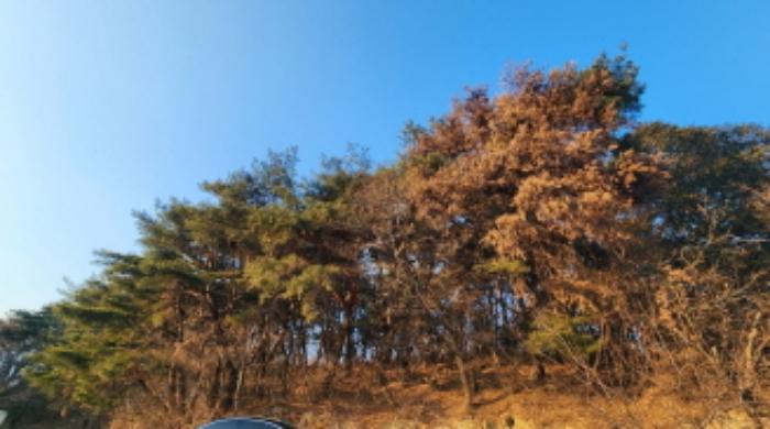 2025타경10401 법원경매 사진3 | 울산 울주군 임야 경매