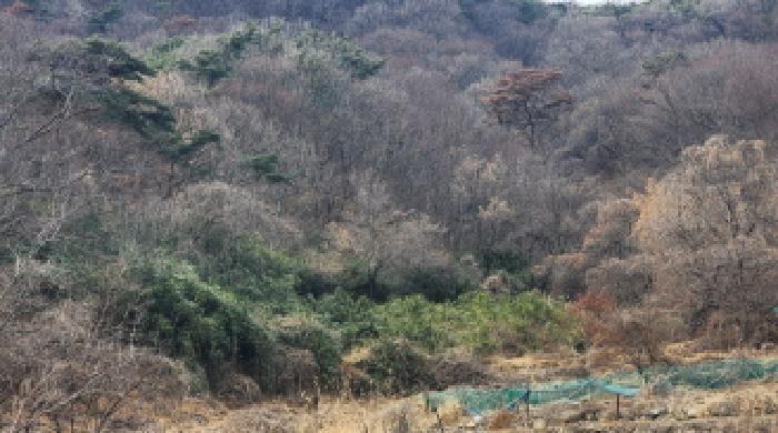 경상남도 양산시 호계동 272 법원경매 물건 대표사진