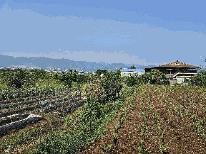 2025타경11379 법원경매 사진7 | 경남 김해시 전 경매