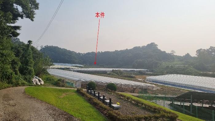 법원경매 2024타경87456 사진4 | 화성시 송산면 독지리 891-1 답 경매