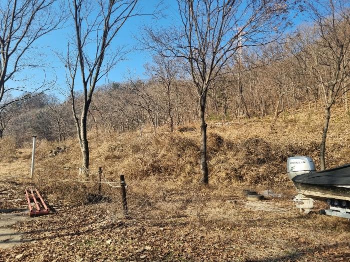 법원경매 2024타경56053 사진13 | 춘천시 남면 박암리 임야 경매
