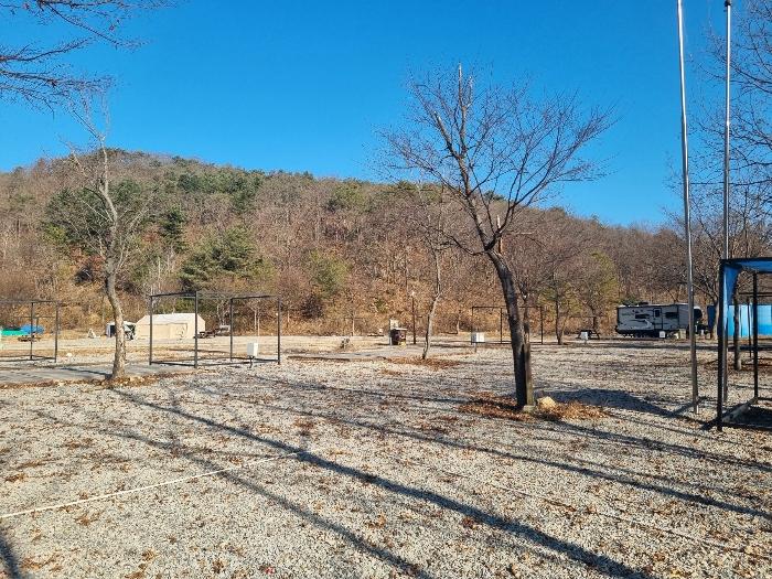법원경매 2024타경56053 사진2 | 춘천시 남면 박암리 임야 경매